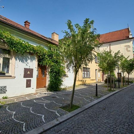 Krejcovstvi Apartman Mělník Kültér fotó