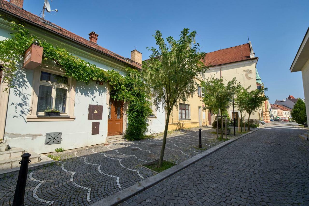Krejcovstvi Apartman Mělník Kültér fotó